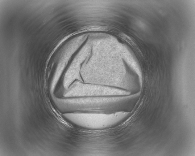 X0000052931236200508050821