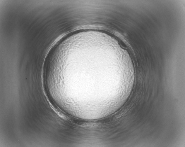 X0000052931237200508050821