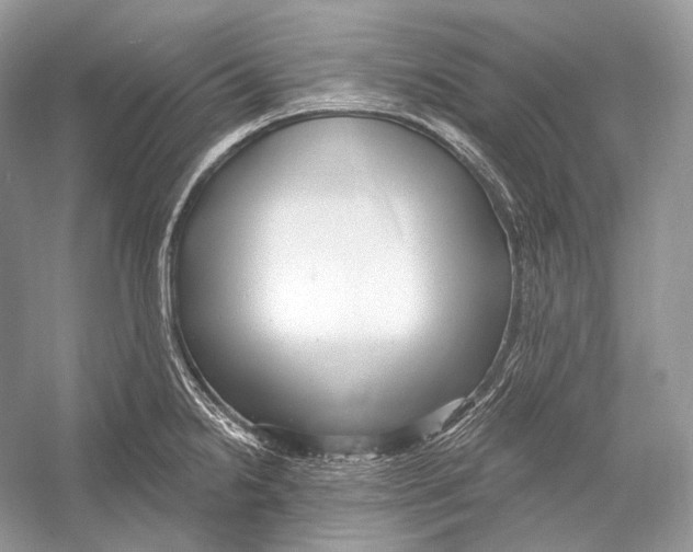 X0000052931238200508050821