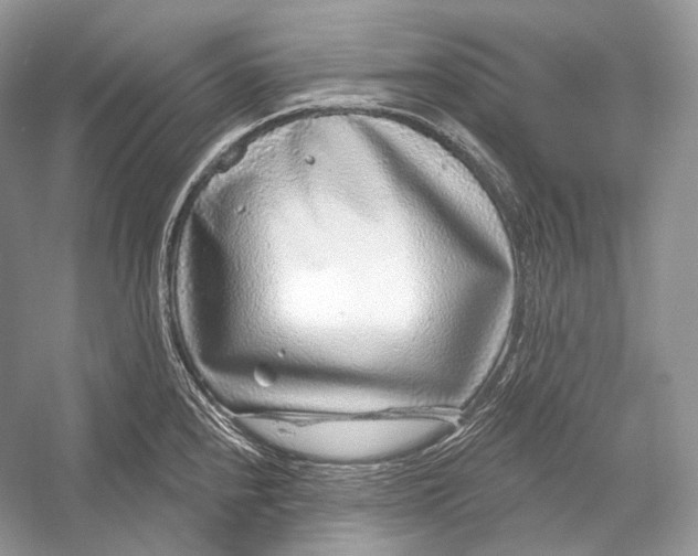 X0000052931240200508050821