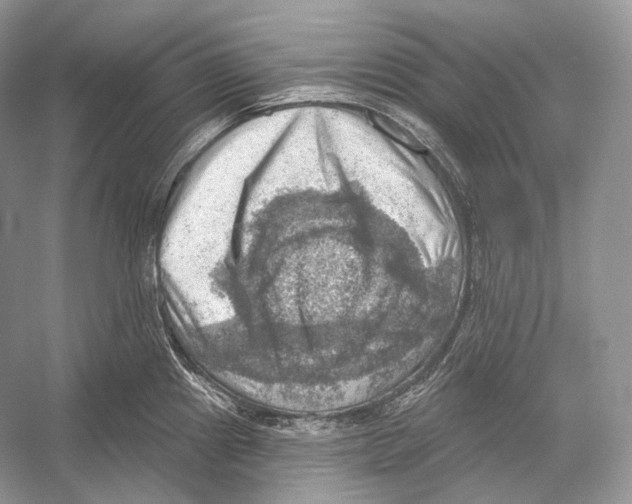 X0000052931241200508050821