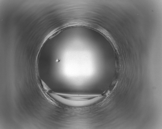 X0000052931242200508050821