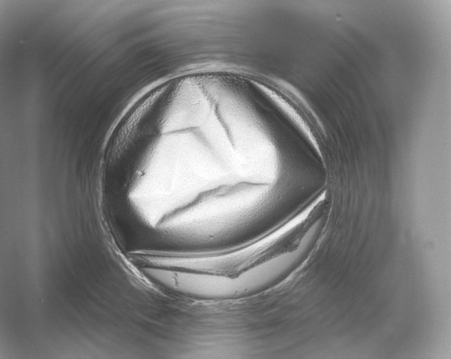 X0000052931244200508050821