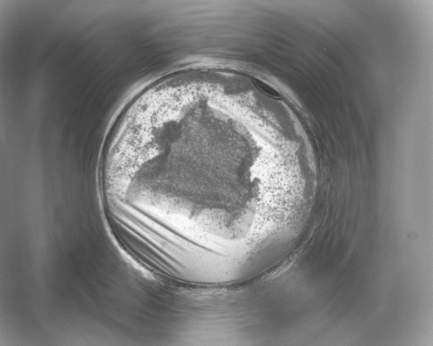X0000052931247200508050821