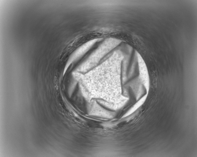 X0000052931253200508050820