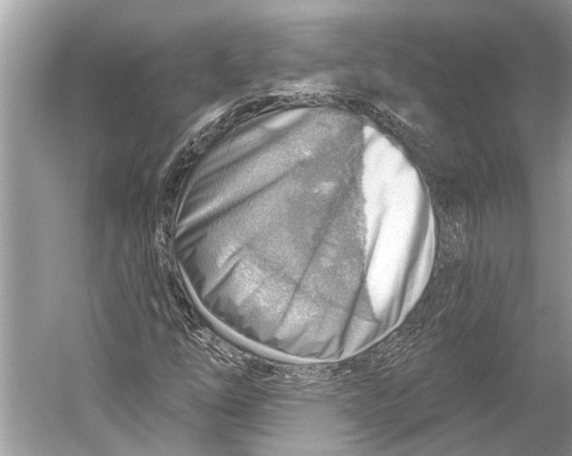X0000052931254200508050820