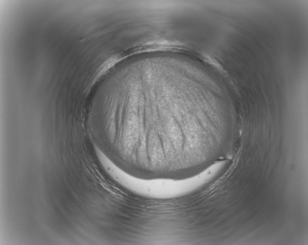 X0000052931259200508050820