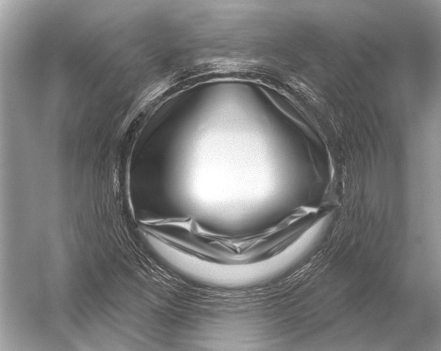 X0000052931261200508050820