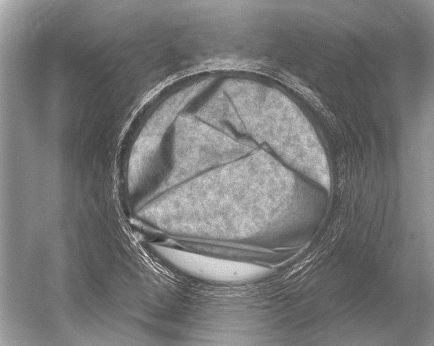 X0000052931264200508050820