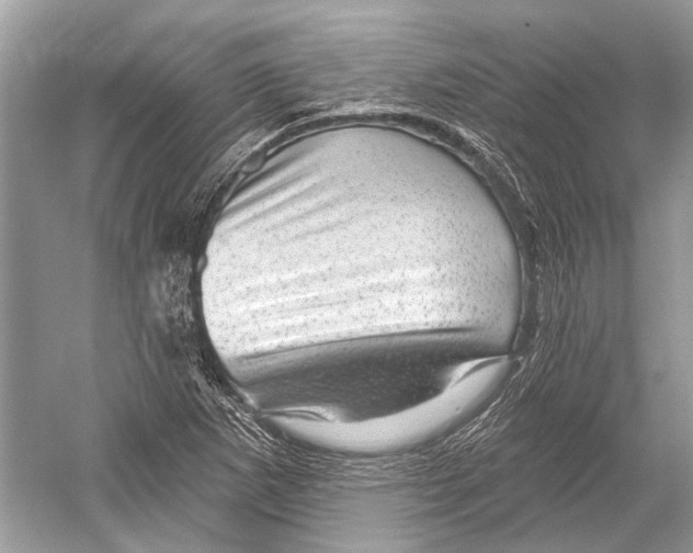 X0000052931265200508050820