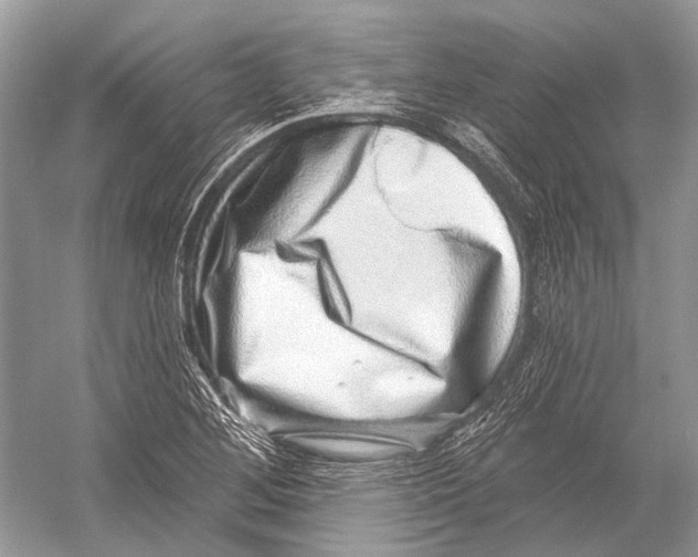 X0000052931268200508050820
