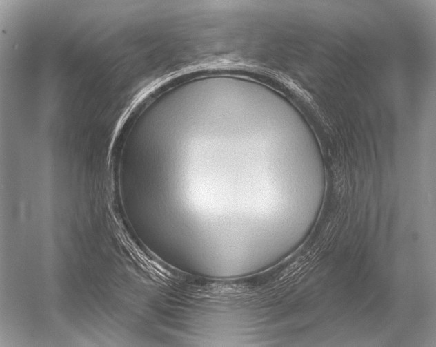 X0000052931270200508050820