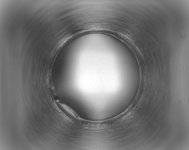 X0000052931273200508050820