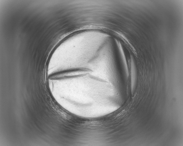 X0000052931276200508050820