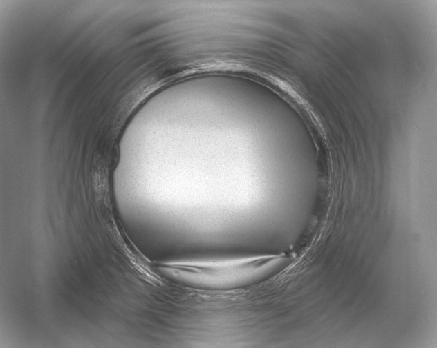 X0000052931281200508050820