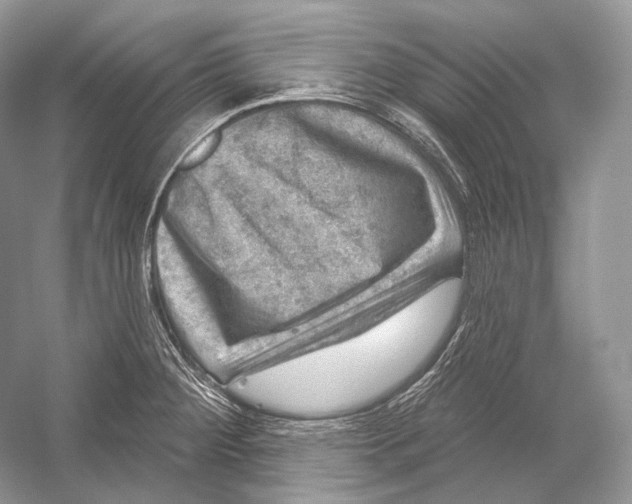 X0000052931284200508050820