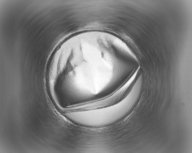X0000052931288200508050820