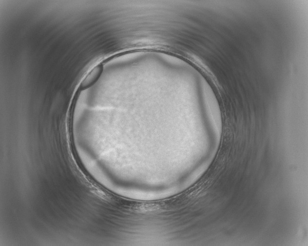 X0000052931291200508050820