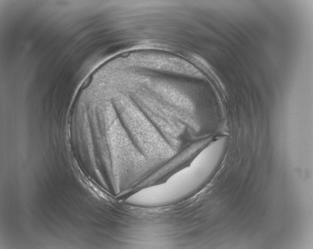 X0000052931292200508050820