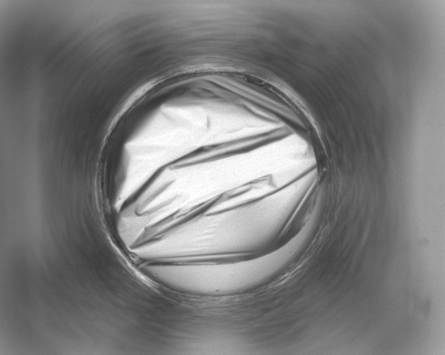X0000052931293200508050820