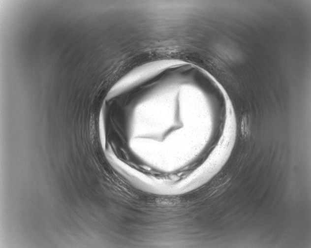 X0000052931299200508050819