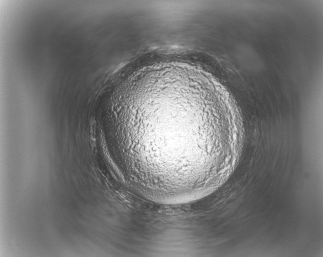 X0000052931301200508050819