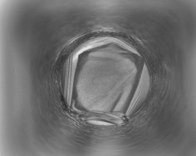 X0000052931303200508050819