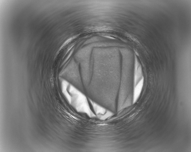 X0000052931306200508050819
