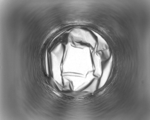 X0000052931307200508050819