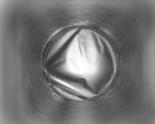 X0000052931308200508050819