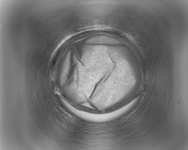 X0000052931310200508050819