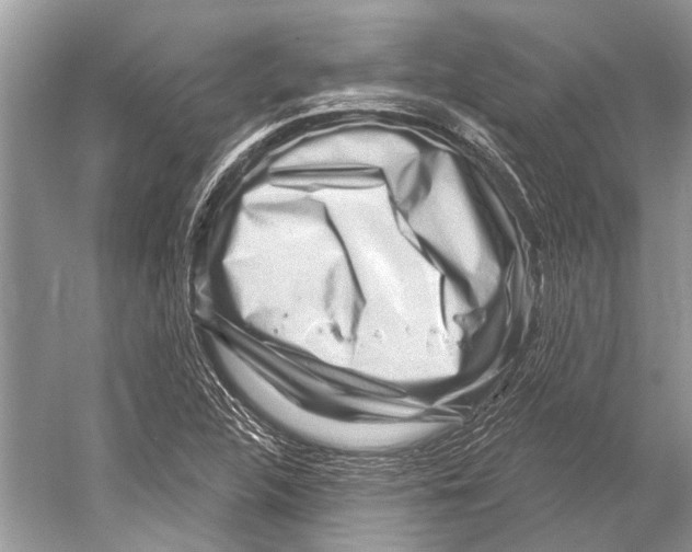 X0000052931312200508050819