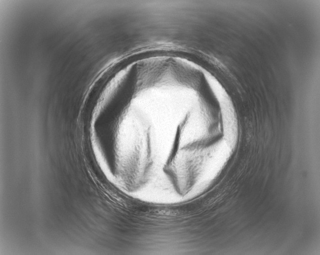 X0000052931318200508050819
