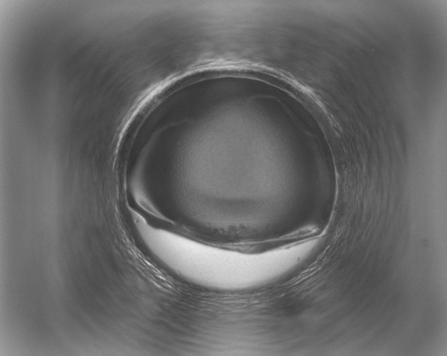 X0000052931319200508050819