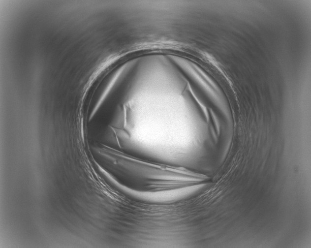 X0000052931320200508050819