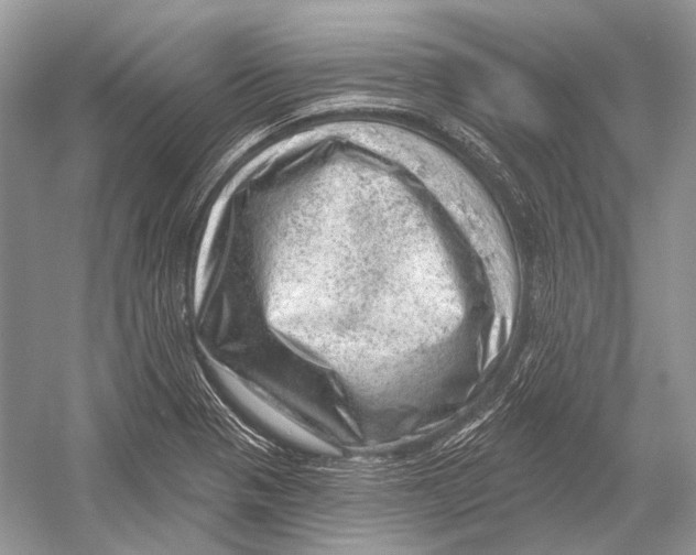 X0000052931321200508050819