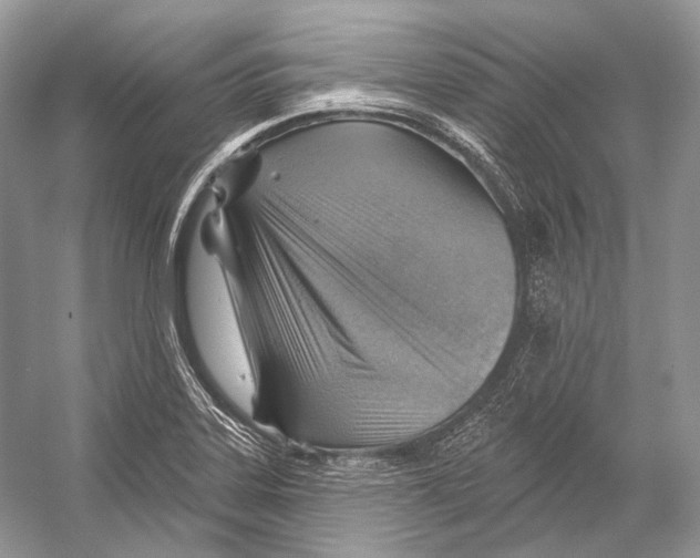 X0000052931323200508050819