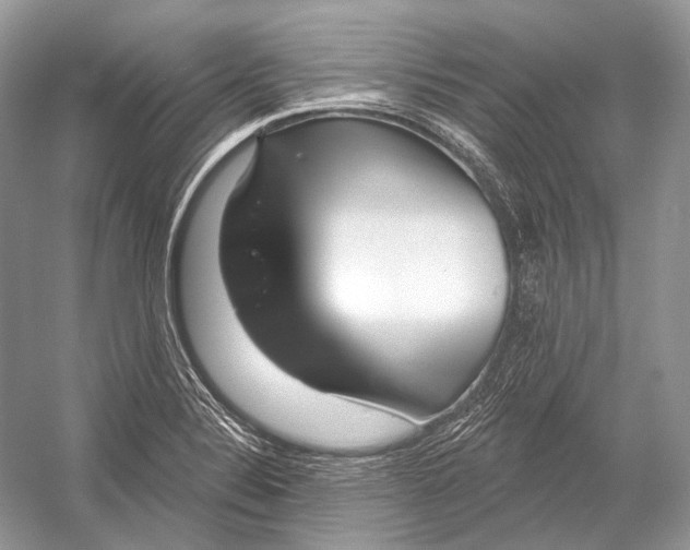 X0000052931324200508050819