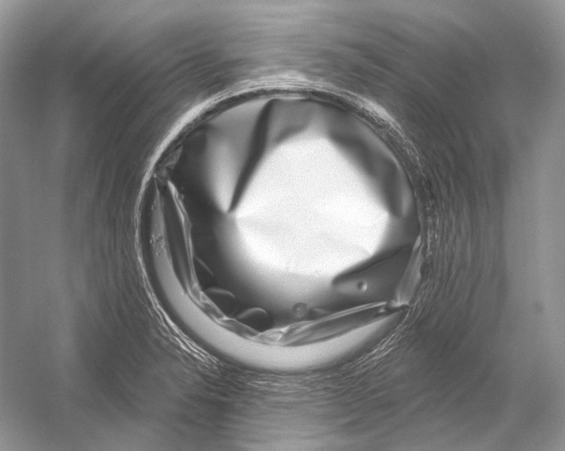 X0000052931326200508050819