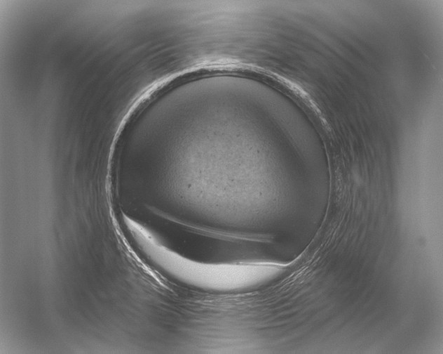X0000052931327200508050819