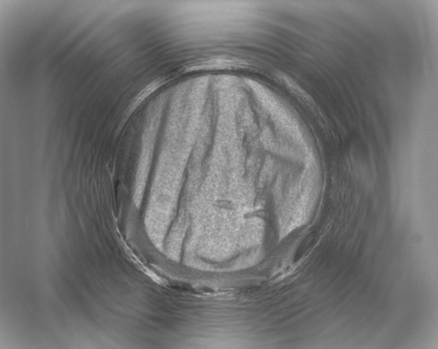 X0000052931329200508050819