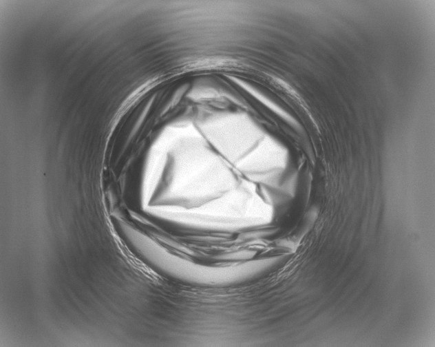 X0000052931330200508050819