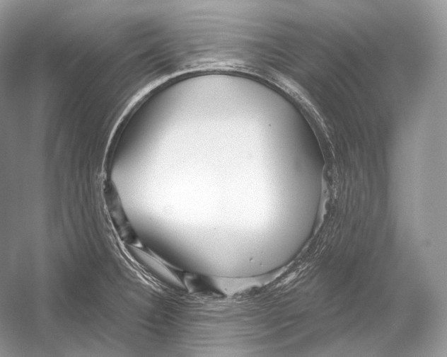 X0000052931332200508050819