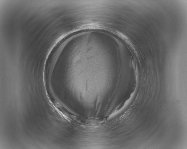 X0000052931334200508050819