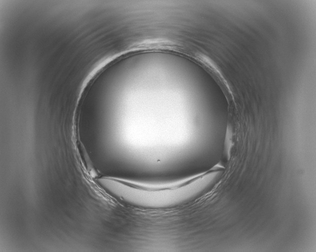 X0000052931336200508050819
