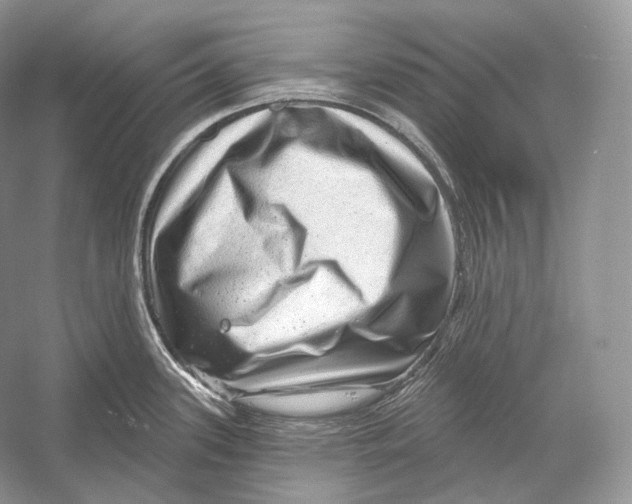 X0000052931339200508050819