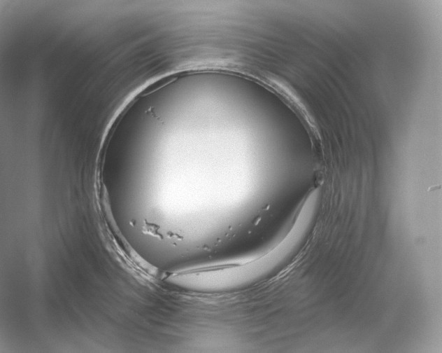 X0000052931340200508050819