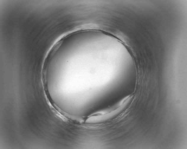 X0000052931342200508050819