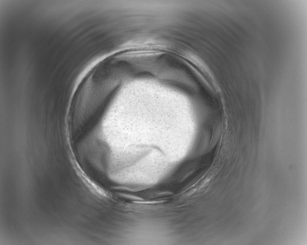 X0000052931344200508050819