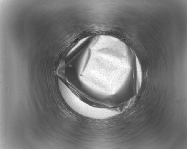 X0000052931348200508050819